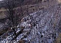 jbo竞博·(中国)有限公司